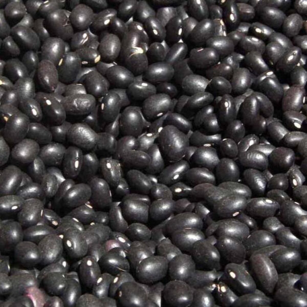 Porotos Negros